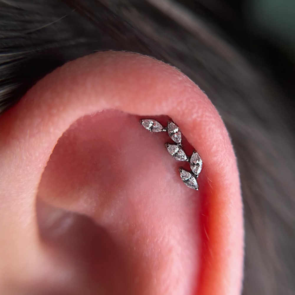 16G G23 티타늄 5개의 마르퀴즈 지르콘 클러스터  - Cluster Stud Ear 리뷰 및 가격