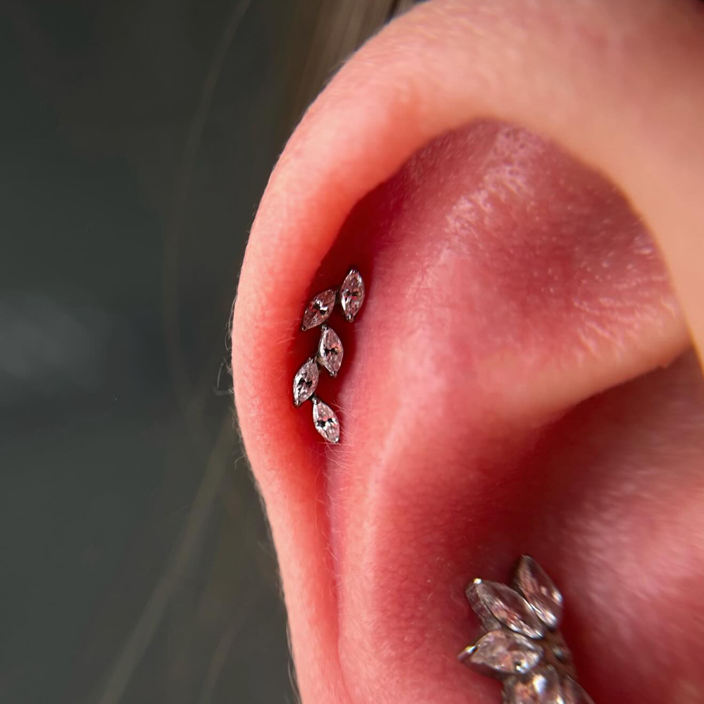 16G G23 티타늄 5개의 마르퀴즈 지르콘 클러스터  - Cluster Stud Ear 리뷰 및 가격